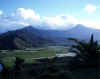 Hanalei Valley